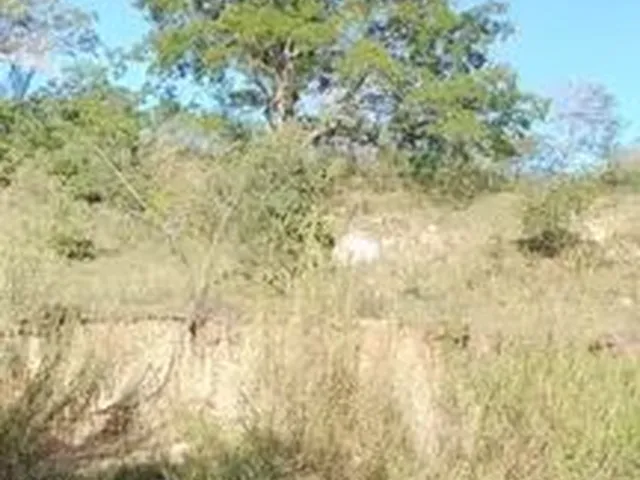 Imagem 12: Chacaras 2500 Metros no Girassol Go