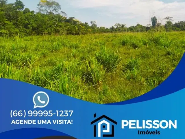 Imagem: Venda