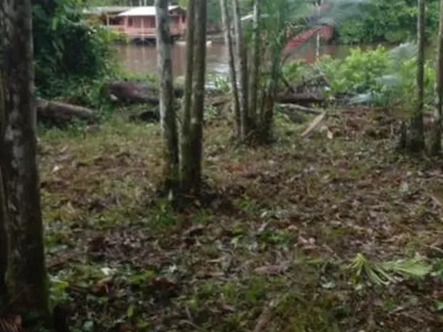 Imagem: O terreno está localizado em Macapá, AP à venda por