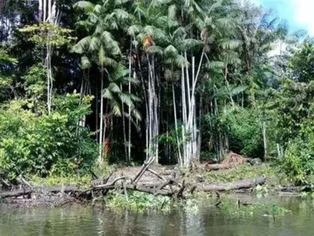 Imagem 2: Terreno as Margens do Rio Matapi