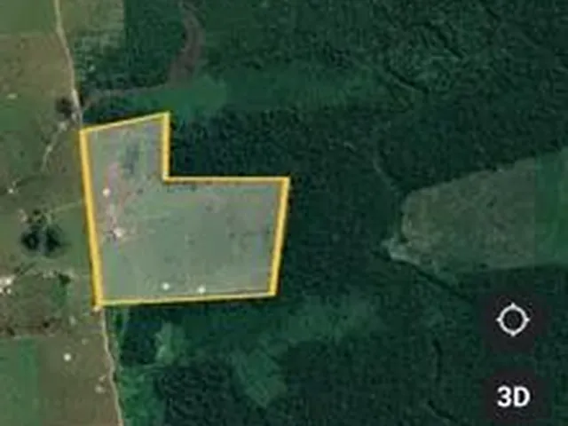Imagem: Fazenda Pronta para Gado e Soja 245 Alqueires