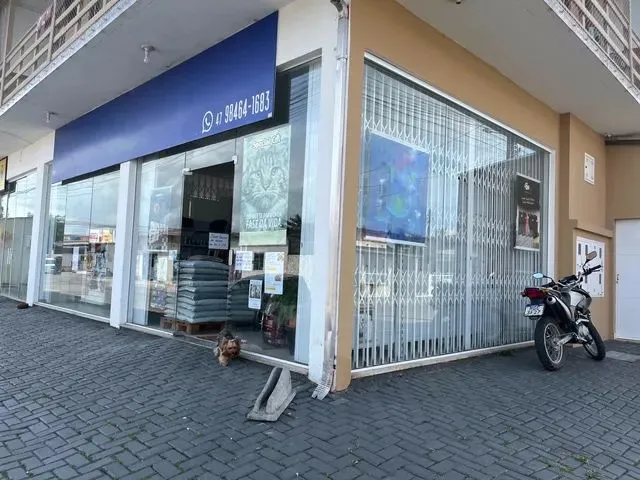 Imagem: Vendo Agropecuária em Navegantes