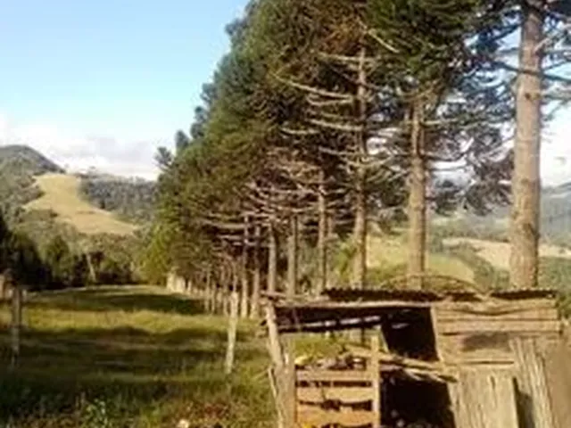 Imagem: Vendo Sítio em Alfredo Wagner