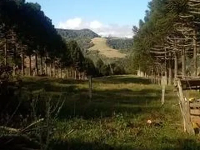 Imagem 3: Vendo Sítio em Alfredo Wagner