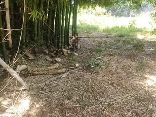 Imagem 13: Cód.147- Chácara com Rio em Corguinho/Ms