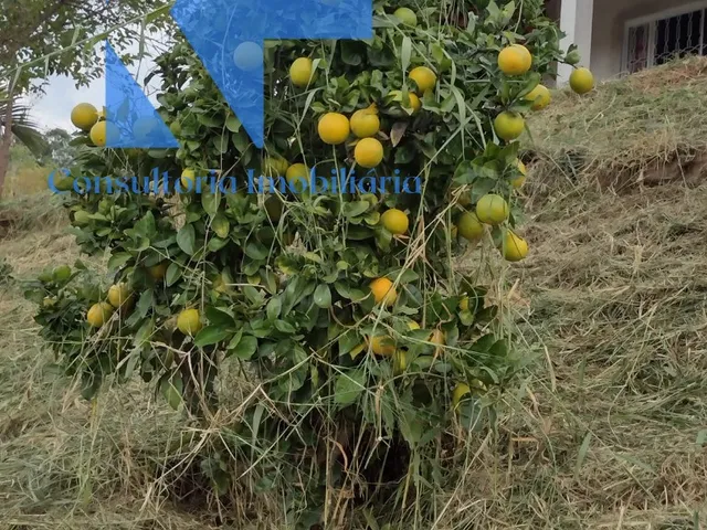 Imagem 10: CHACARA TEMPORADA em TOLEDO - MG, Dos Formigas
