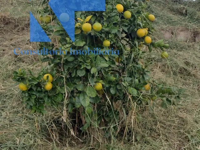 Imagem 16: CHACARA TEMPORADA em TOLEDO - MG, Dos Formigas