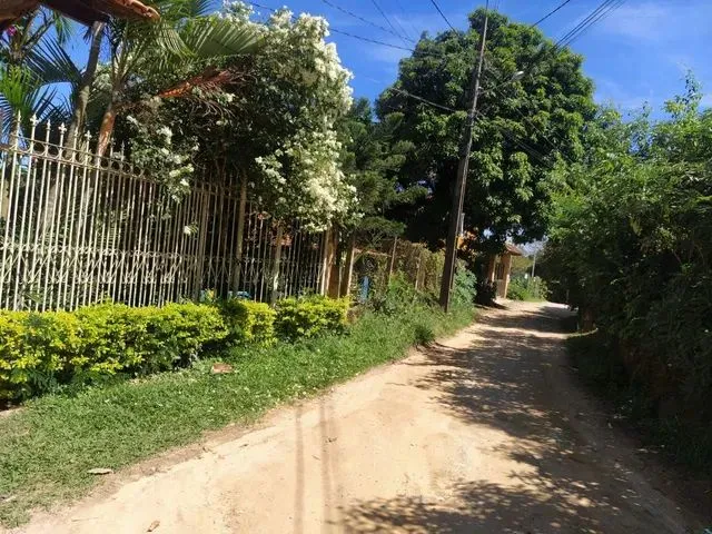 Imagem 15: Lindo Sítio em Esmeralda /Andiroba