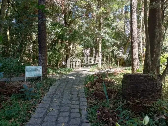 Imagem 12: Curitiba - Padrão - Ahú