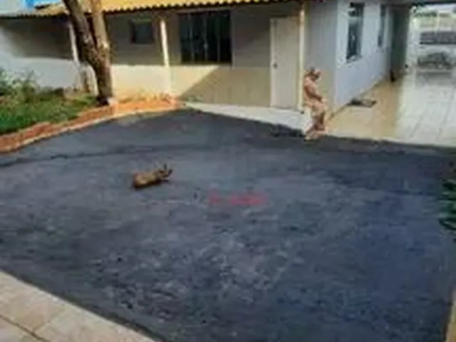 Imagem 12: Casa com 3 Dormitórios para Alugar, 351 M² por R$ 2.500,00/Mês - Jardim Iguaçu