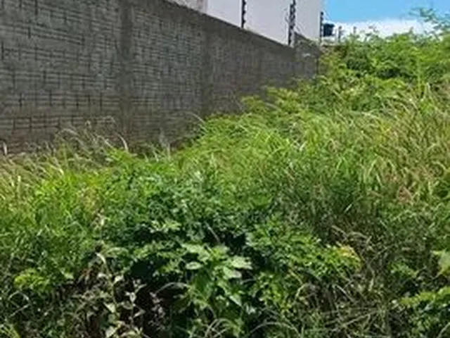 Imagem: Lote/Terreno para Venda com 50 Metros Quadrados