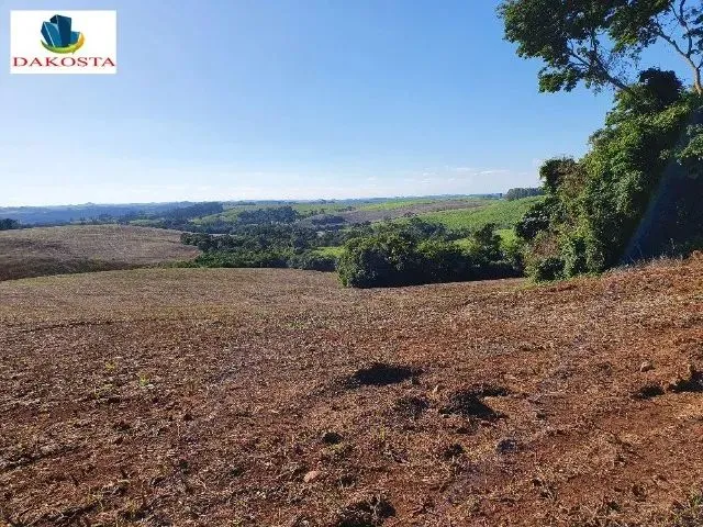 Imagem: 42 Alqueires com 35 de Lavouras a Vários