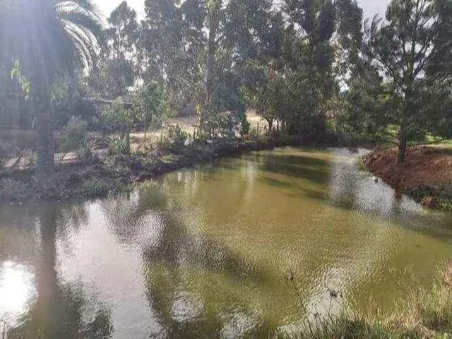 Imagem 8: Sitio 2 Casas Águas Claras, Viamão