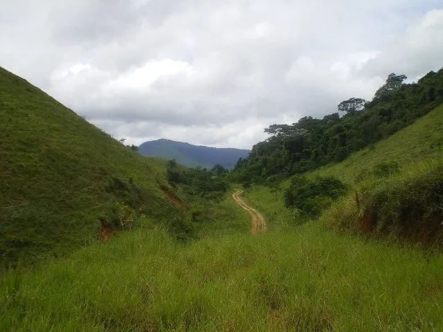 Imagem 3: Sítio em Conservatória 60.000 M²