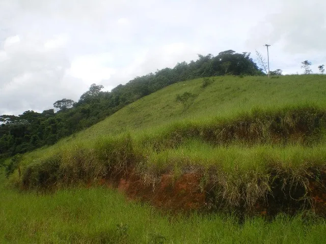 Imagem 4: Sítio em Conservatória 60.000 M²