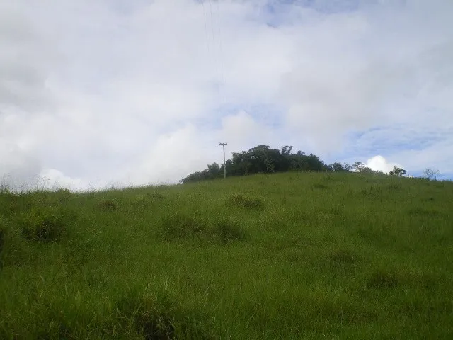 Imagem 5: Sítio em Conservatória 60.000 M²