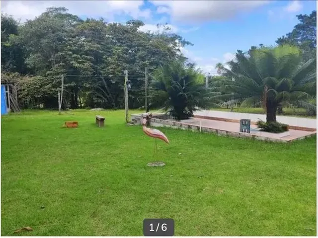 Imagem 6: Perfeita Chácara Km 11 Zona Norte Mcp Ap