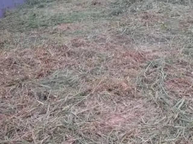Imagem 1: Terreno de 250,00 M2 no Bairro Ibirapuera