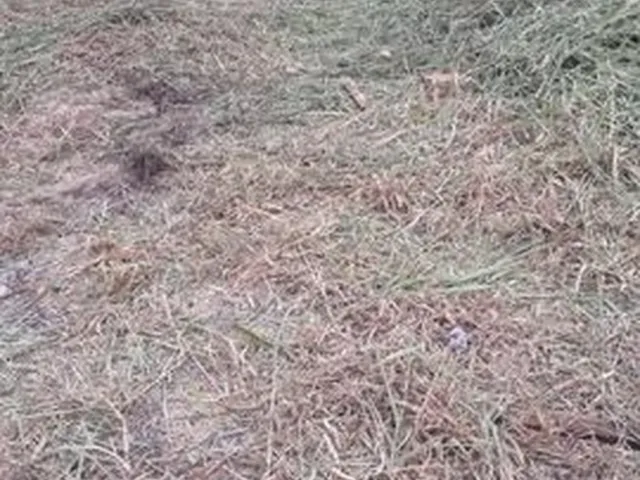 Imagem 2: Terreno de 250,00 M2 no Bairro Ibirapuera