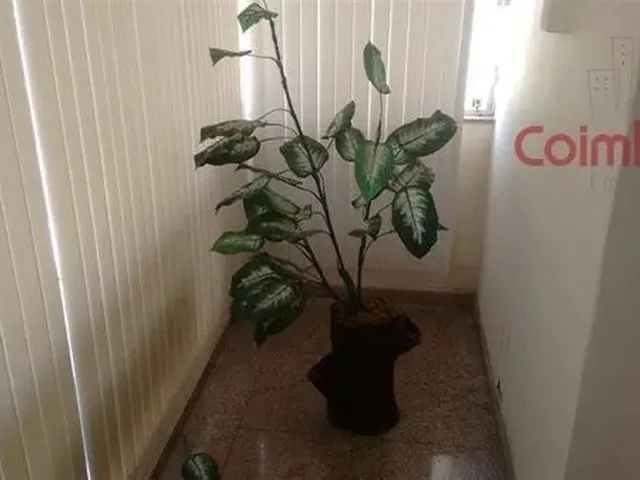 Imagem 3: Apartamento no Centro