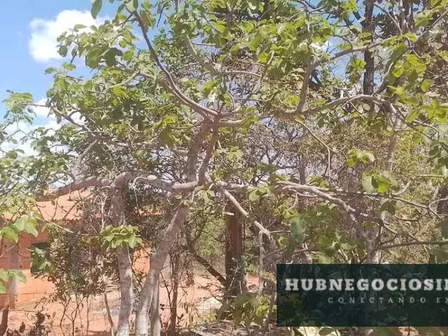 Imagem 13: Sítio à venda em Montes Claros, Área Rural de Montes Claros, com 3 quartos, 1500m²