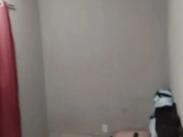 Imagem 9: Vende-Se Casa em Ulisses Guimarães