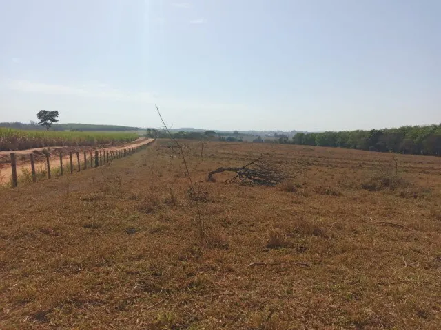 Imagem: Sítio 7,5 Alqueires Mirassol
