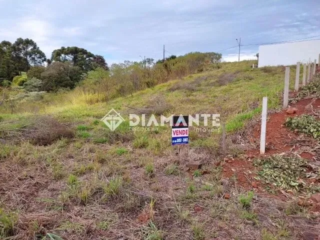 Imagem: Oportunidade Terreno de 469 M² com Uma