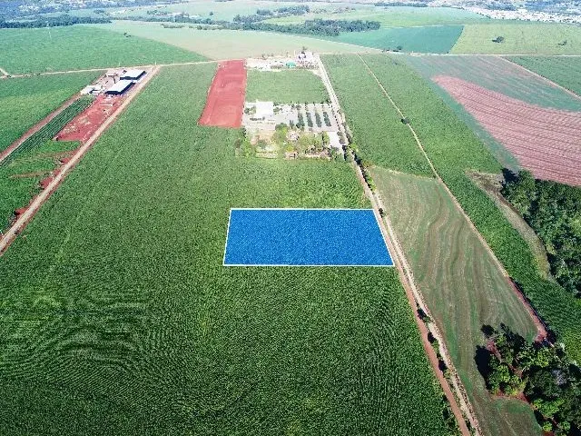 Imagem 3: .