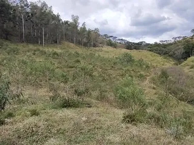 Imagem: Terrenos Contendo 2,36 Hectares em Marmelópolis