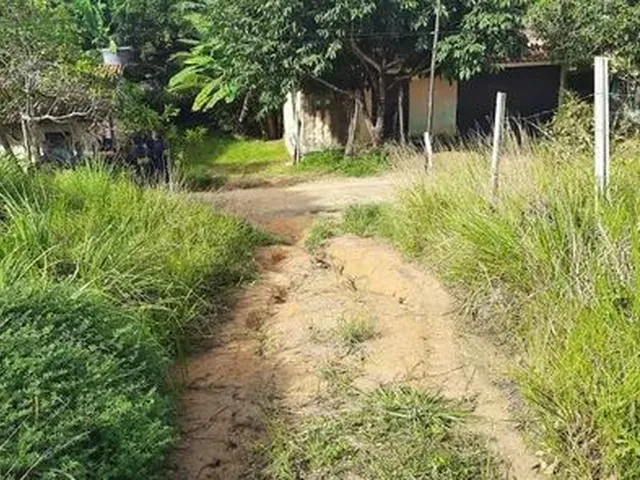 Imagem: Na Praia de Enseadas Soa Corais