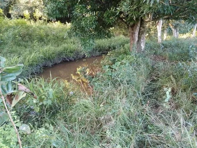 Imagem: Sítio