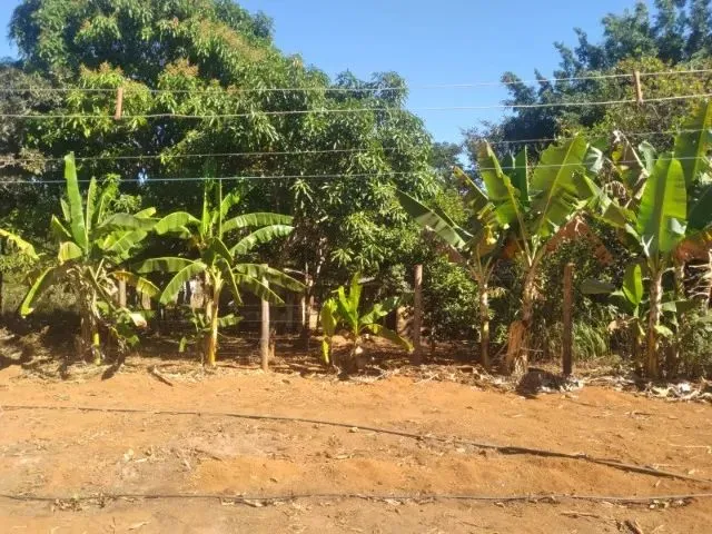 Imagem: Chacará em Brazlandia - 5 Mil Metros