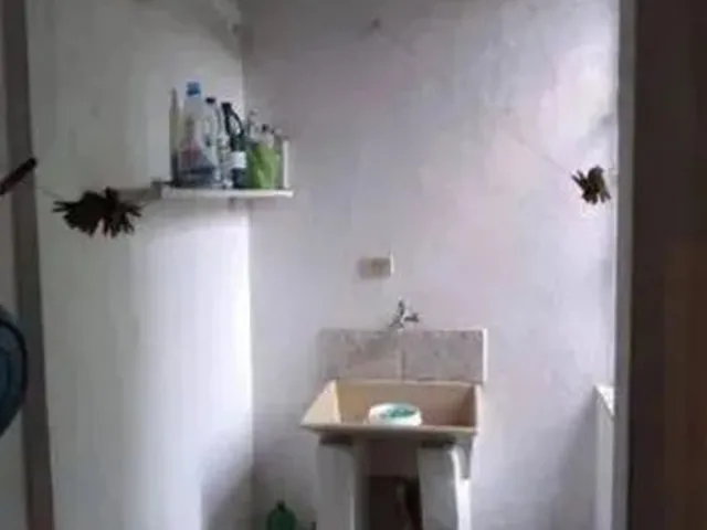 Imagem 8: Vendo Casa no Bengui(Aceito Entrada com Fgts