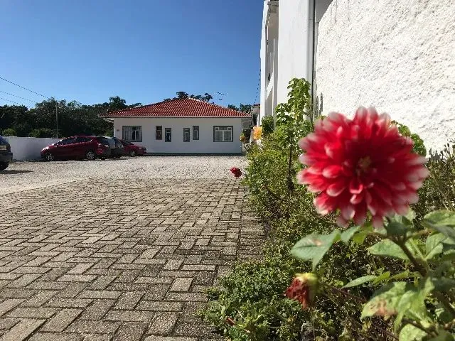 Imagem 1: Alugo Apartamento de 2 Quartos no Bairro Morro das Pedras - Sul da Ilha - Florianópolis