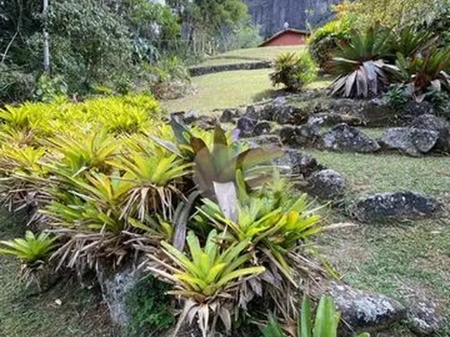 Imagem: Casa com 3 Dormitórios À Venda, 100 M²