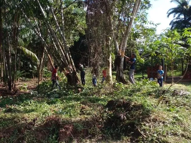 Imagem: Terreno Próximo a Alça Viária Km 40