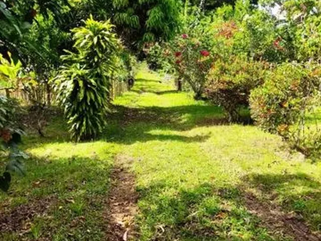 Imagem: Vendo Fazenda Perto do Salobrinho