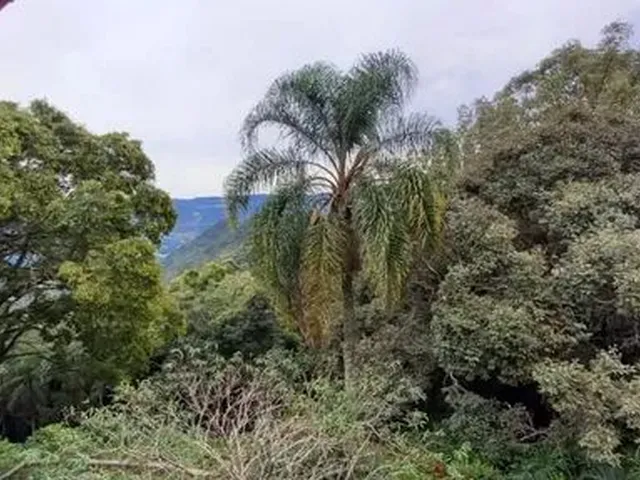 Imagem 9: Casa com Três Dormitórios. Bairro Juriti , Nova Petrópolis Rs! Ref: 919