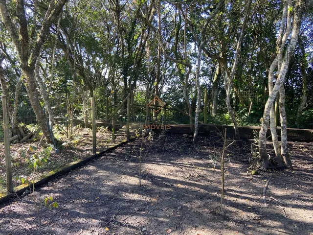 Imagem 12: CASA NA LAGOA Casa com 3 dormitórios
