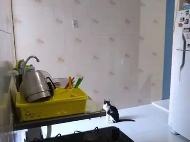 Imagem 2: Casa À Venda no Bairro Centro - Fortaleza/Ce