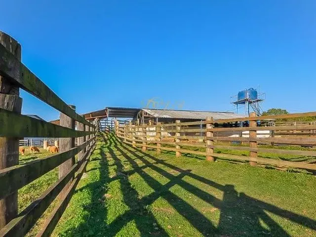 Imagem 1: Campo Largo, 52 Alqueires / Confinamento Gado/ Haras