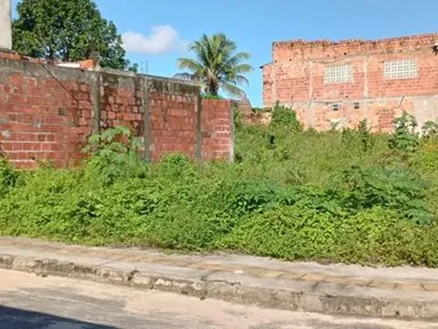 Imagem 1: Terreno no Parque Verde I 16 X 8