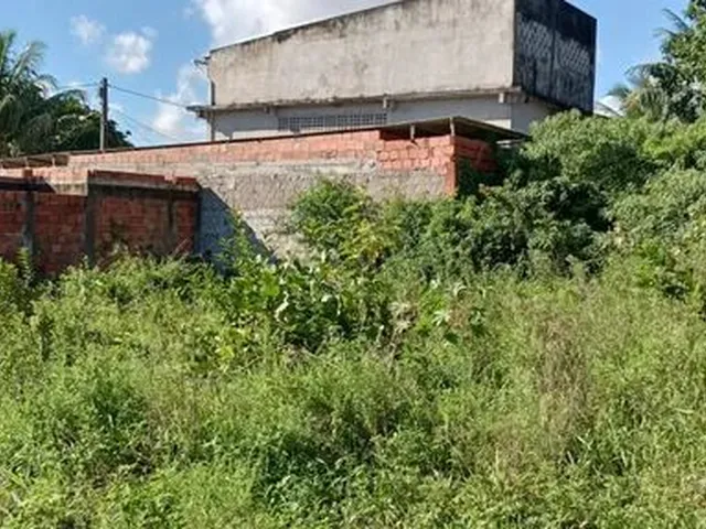 Imagem 4: Terreno no Parque Verde I 16 X 8