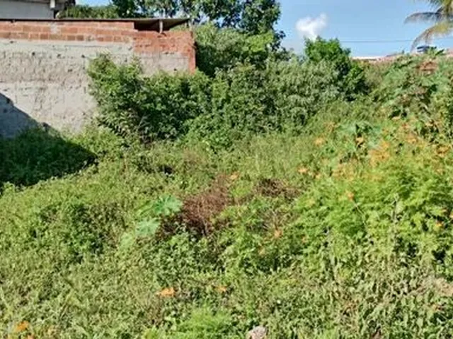 Imagem 9: Terreno no Parque Verde I 16 X 8