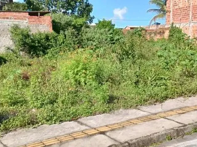 Imagem 10: Terreno no Parque Verde I 16 X 8