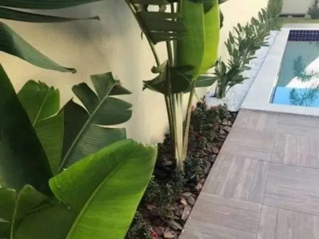 Imagem 3: Th - Vendo Casa em Dona Augusta