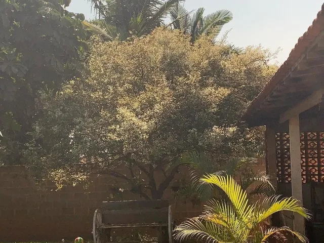 Imagem 7: Chácara À Venda | Chácara Estrela D&Apos;Alva