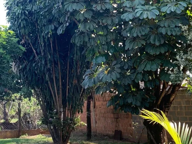 Imagem 4: Chácara À Venda | Chácara Estrela D&Apos;Alva