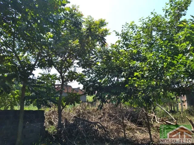 Imagem: TERRENO À VENDA JARDIM FLORENCE